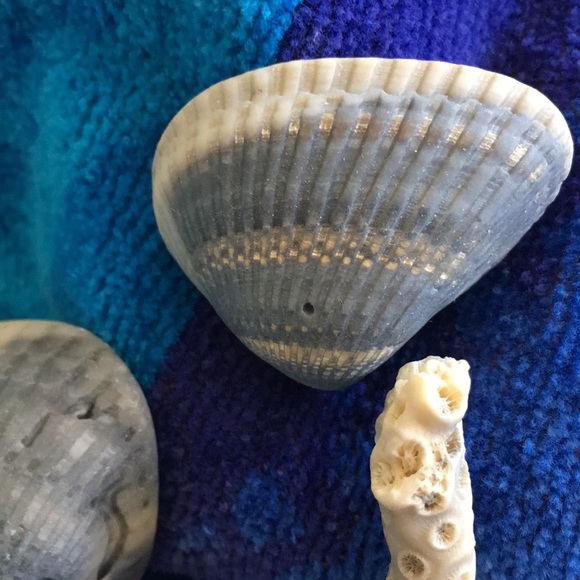 Bring the beach to your home with this collection - Picture 6 of 8